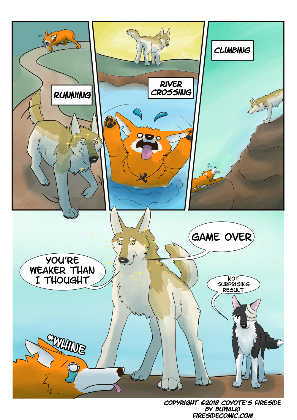 Coywolf05