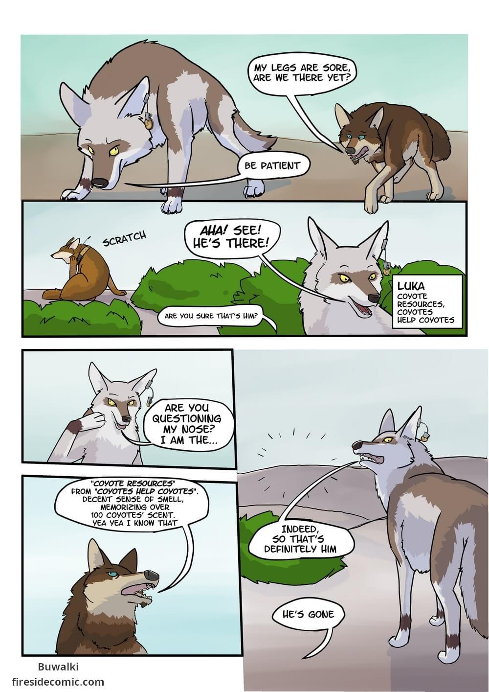 Fox Paradise01