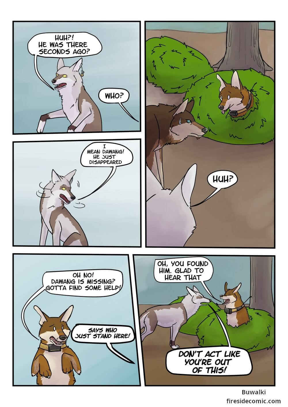 Fox Paradise02