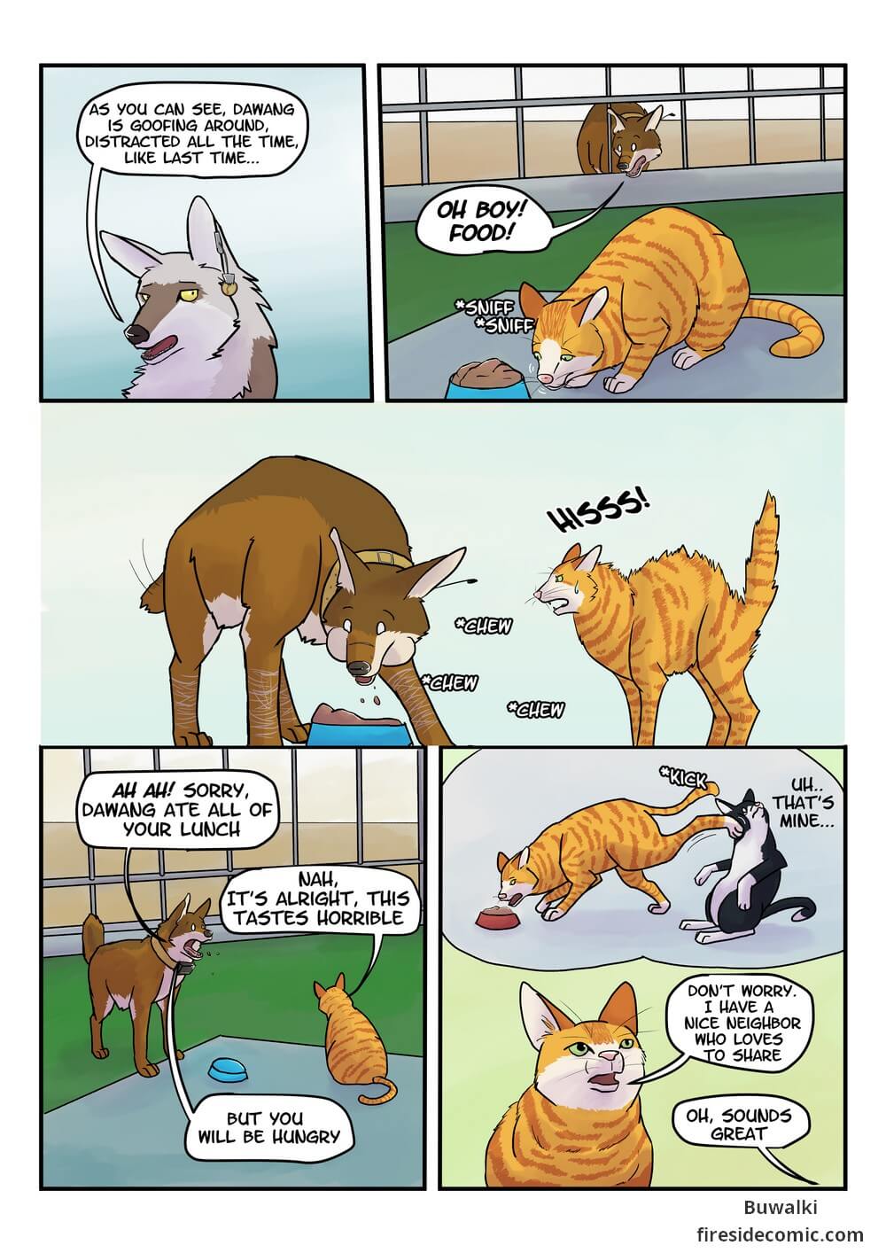Fox Paradise03