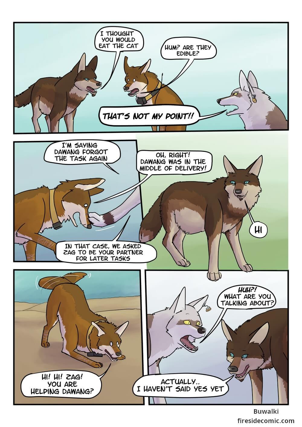 Fox Paradise04
