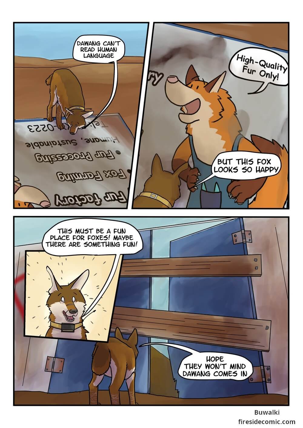 Fox Paradise09