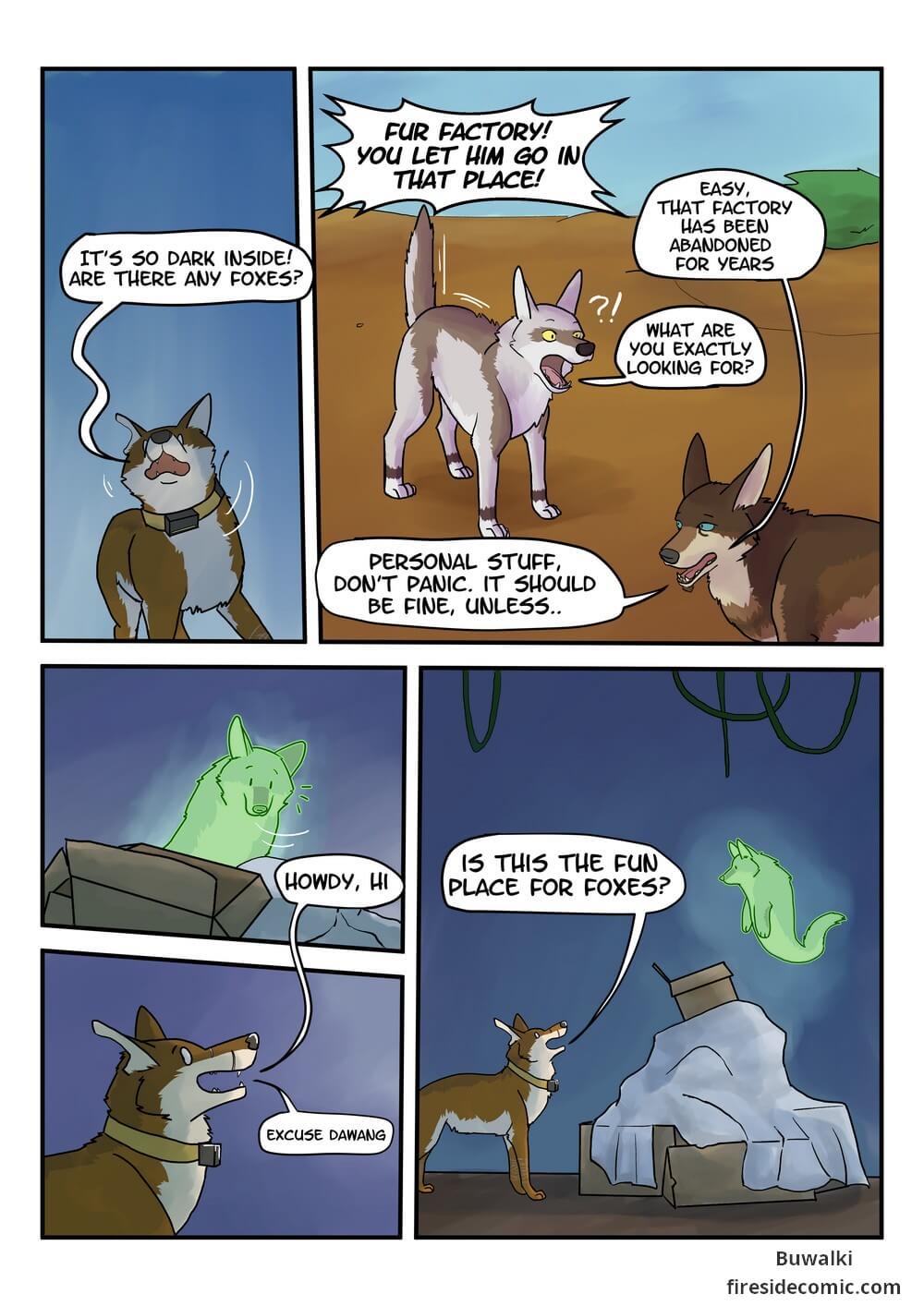 Fox Paradise10