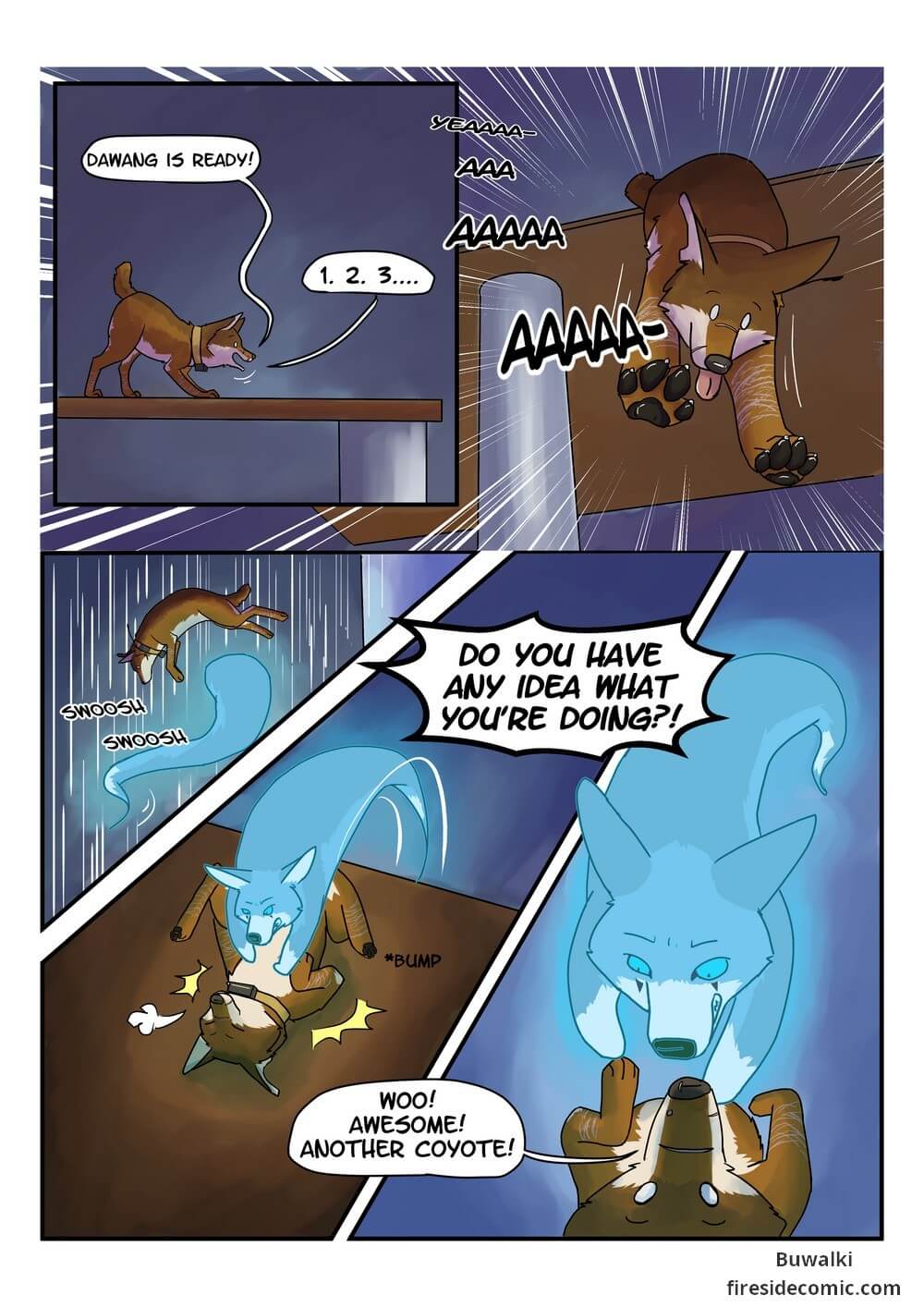 Fox Paradise17