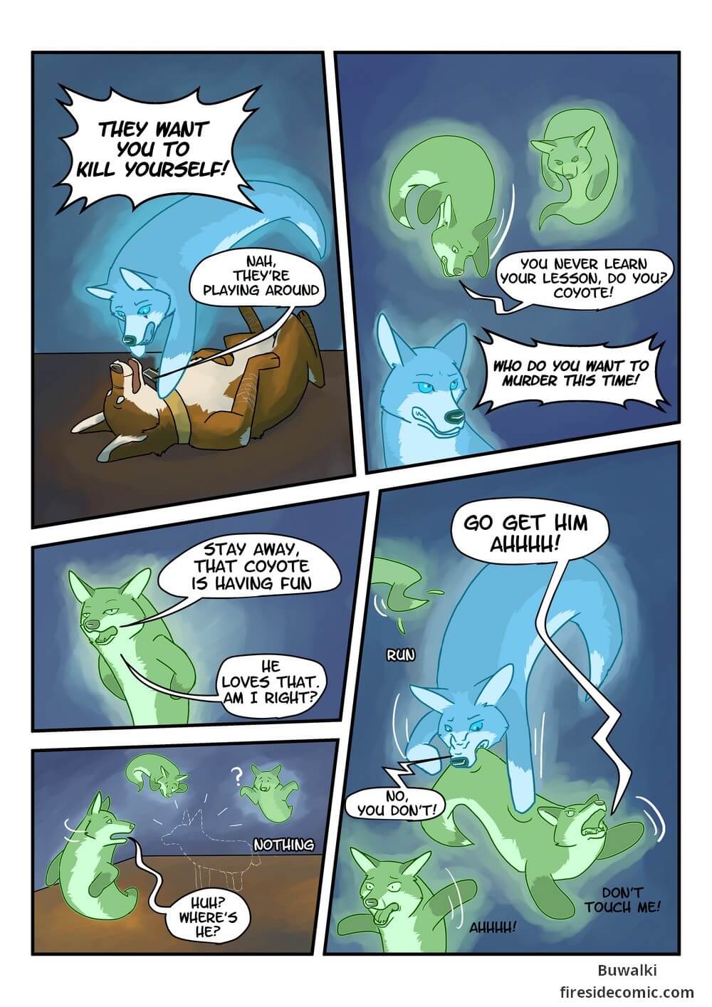 Fox Paradise18