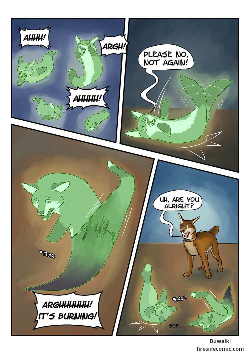Fox Paradise22