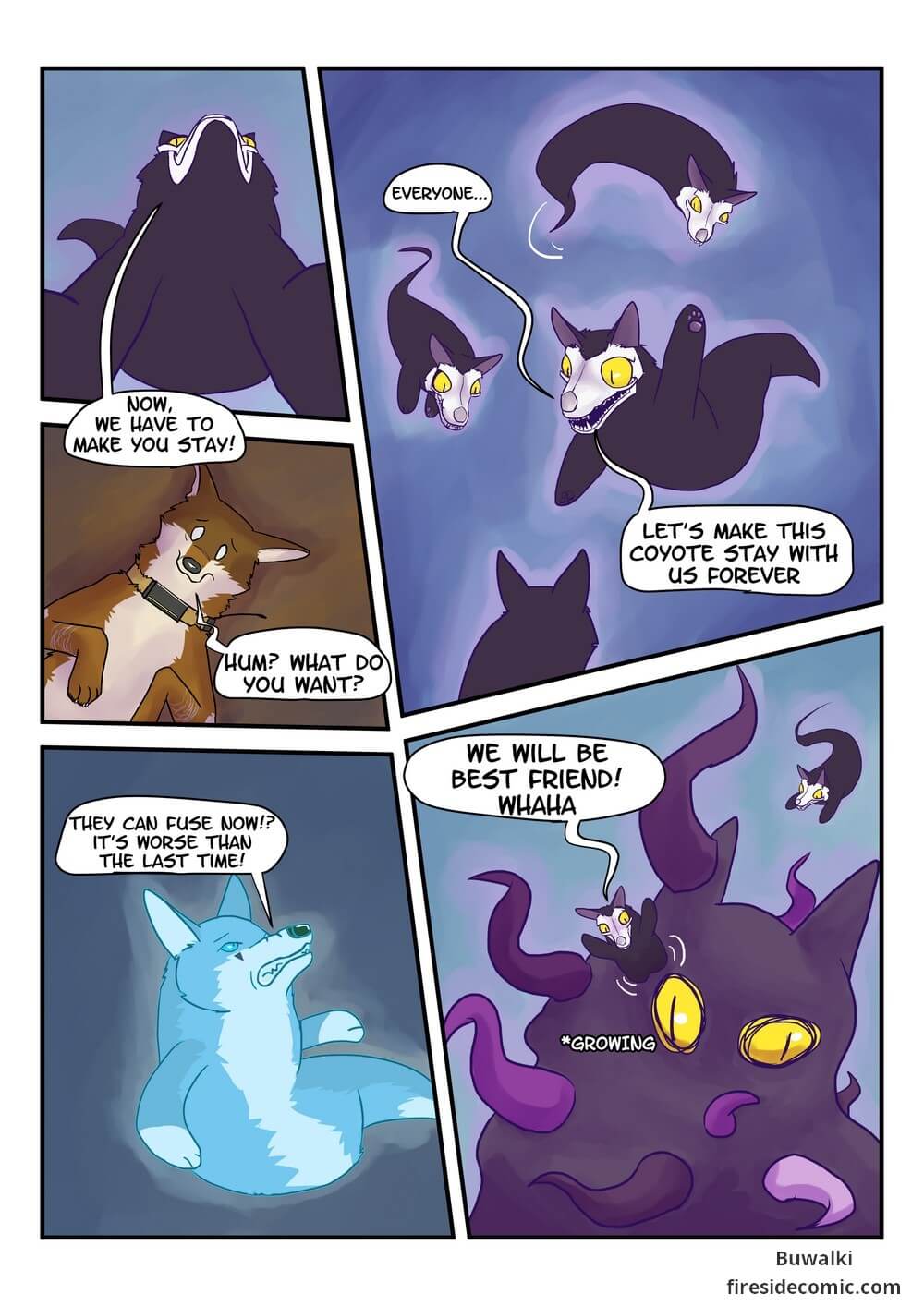 Fox Paradise24