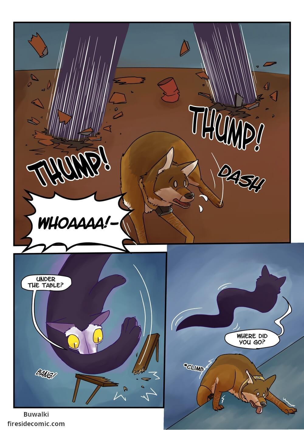 Fox Paradise26