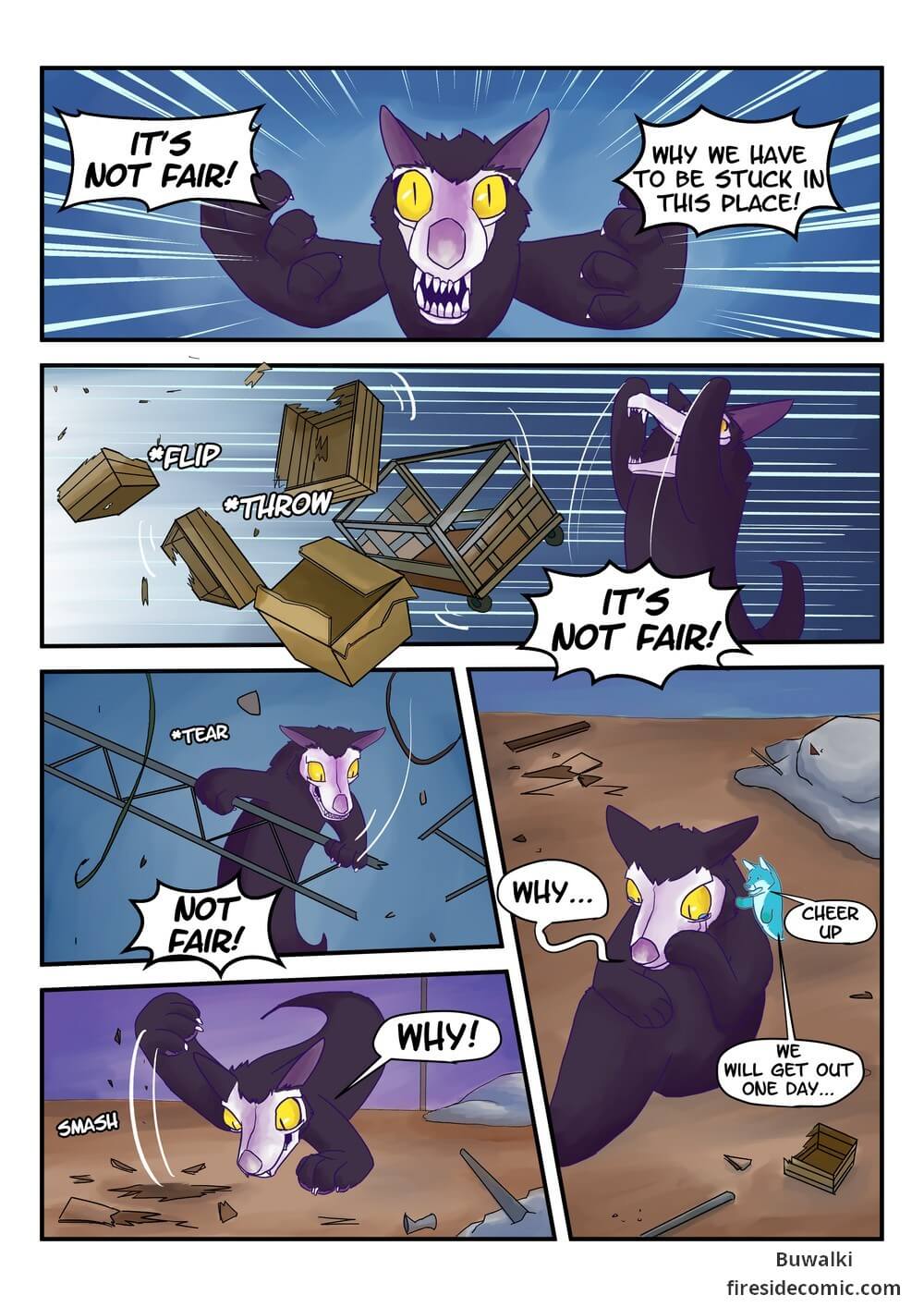 Fox Paradise36