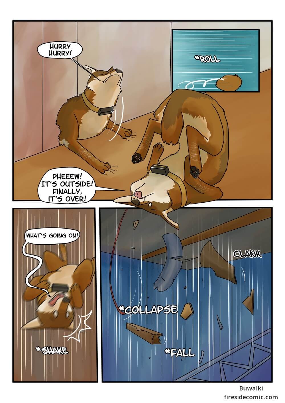Fox Paradise37