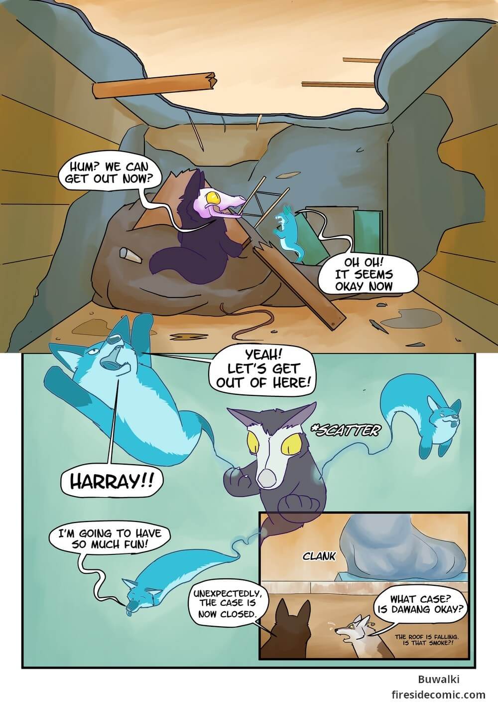 Fox Paradise38