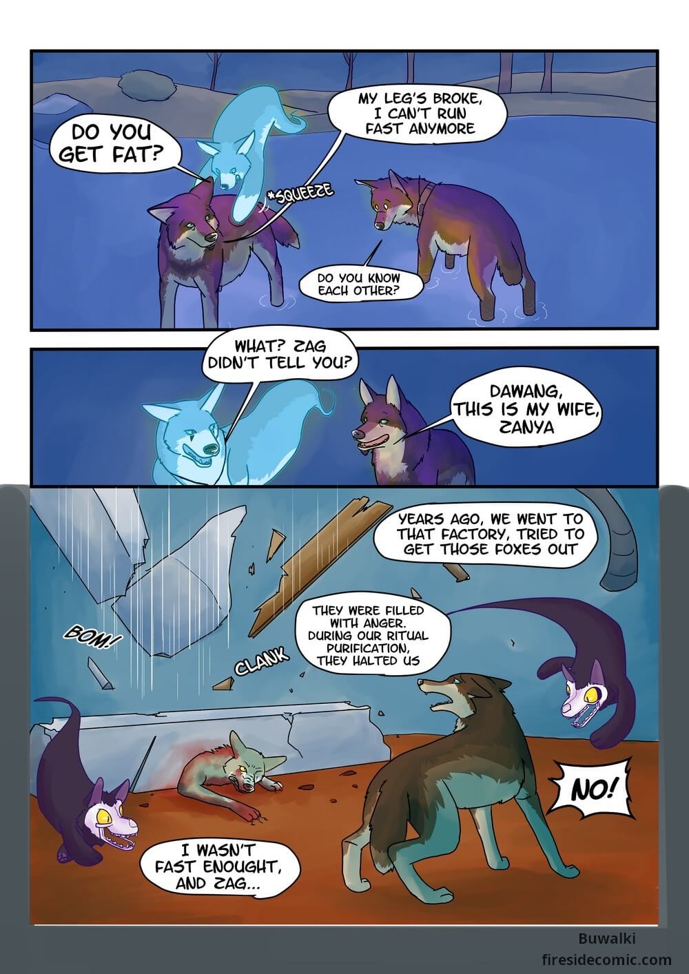 Fox Paradise45