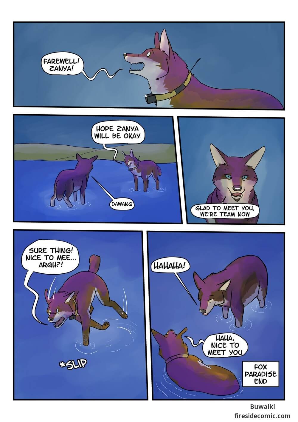 Fox Paradise18