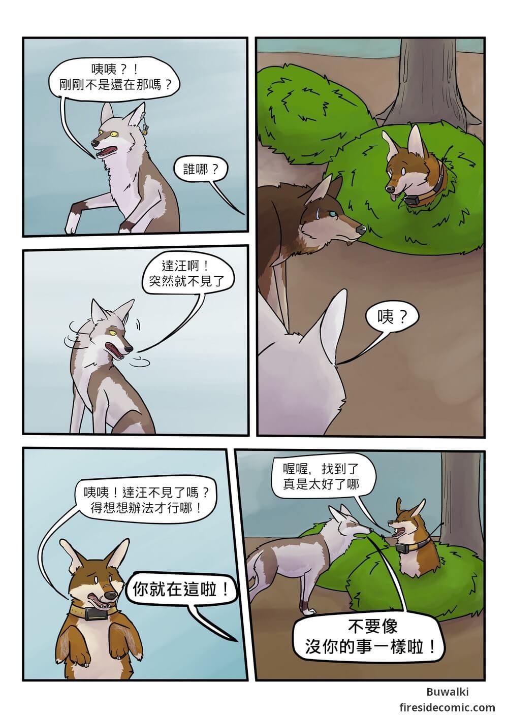 Fox Paradise02
