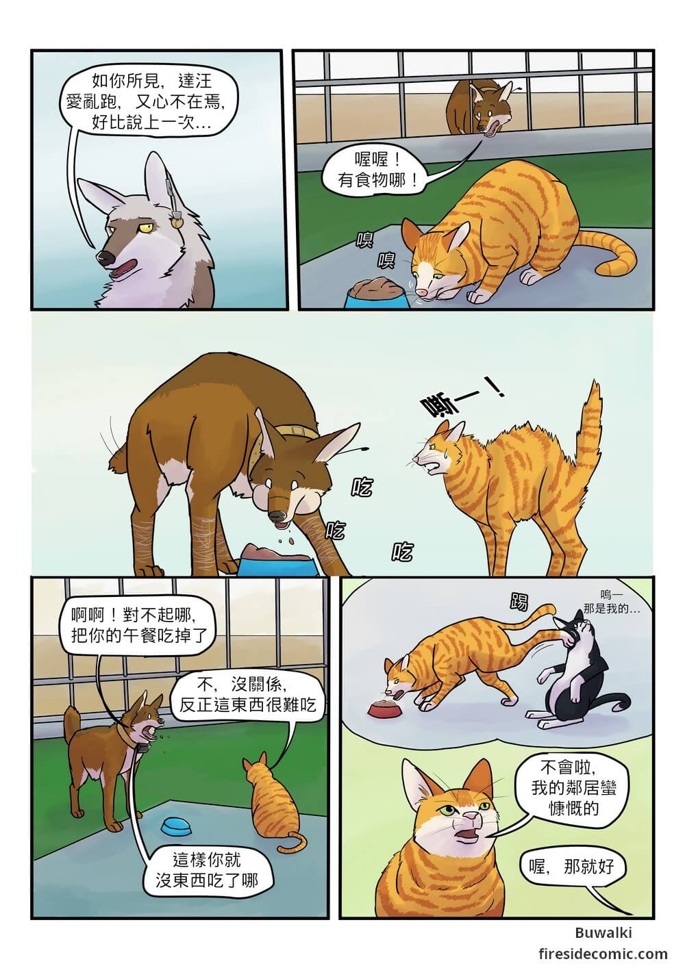 Fox Paradise03
