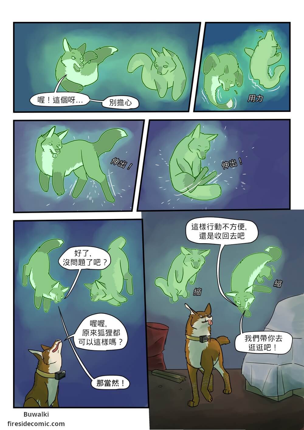 Fox Paradise12