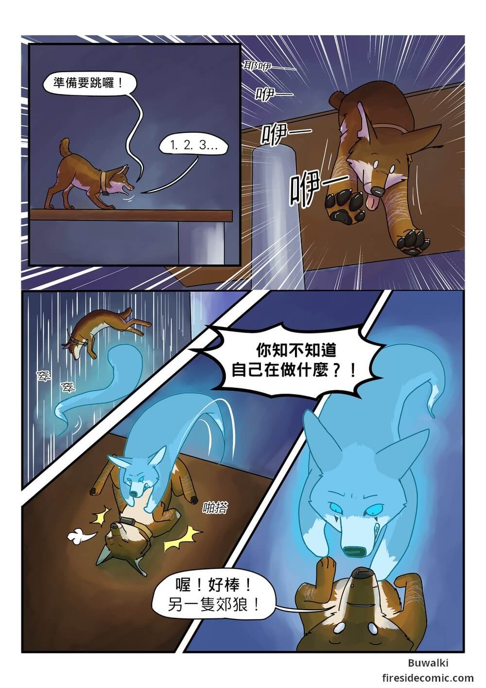 Fox Paradise17