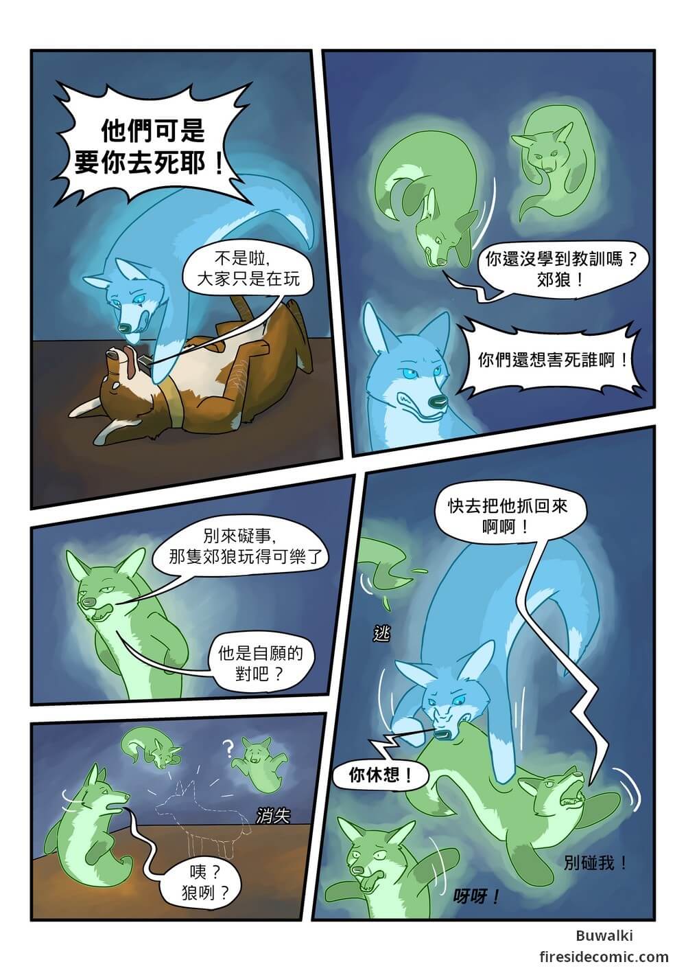 Fox Paradise18