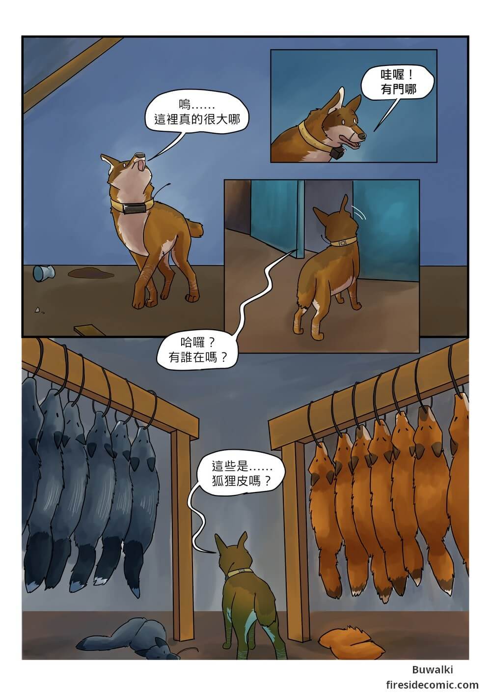 Fox Paradise19