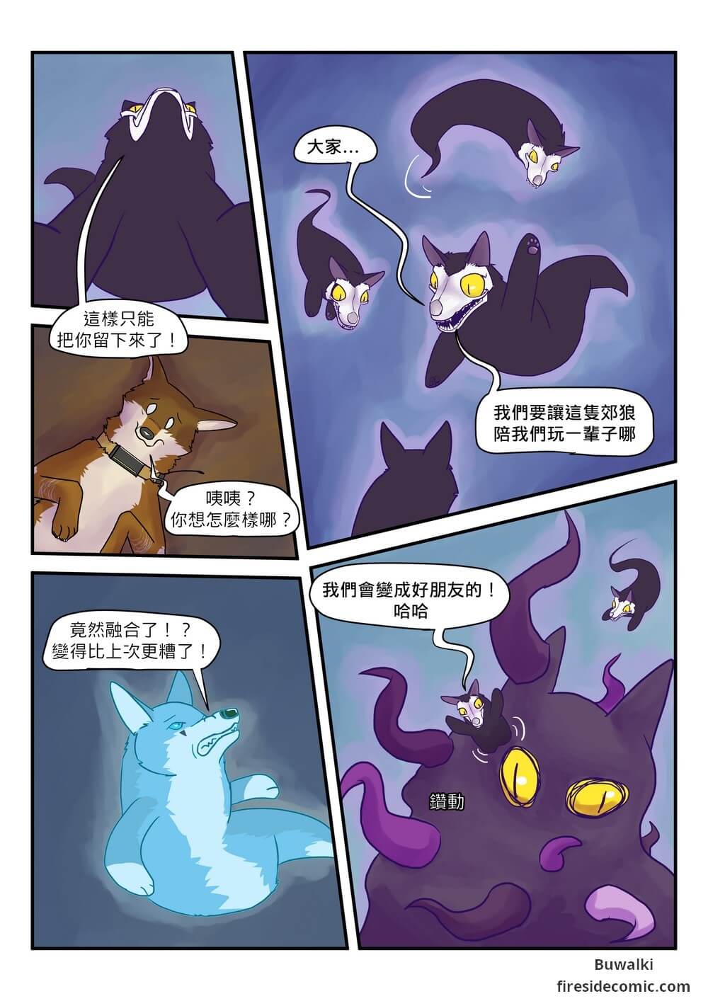 Fox Paradise24