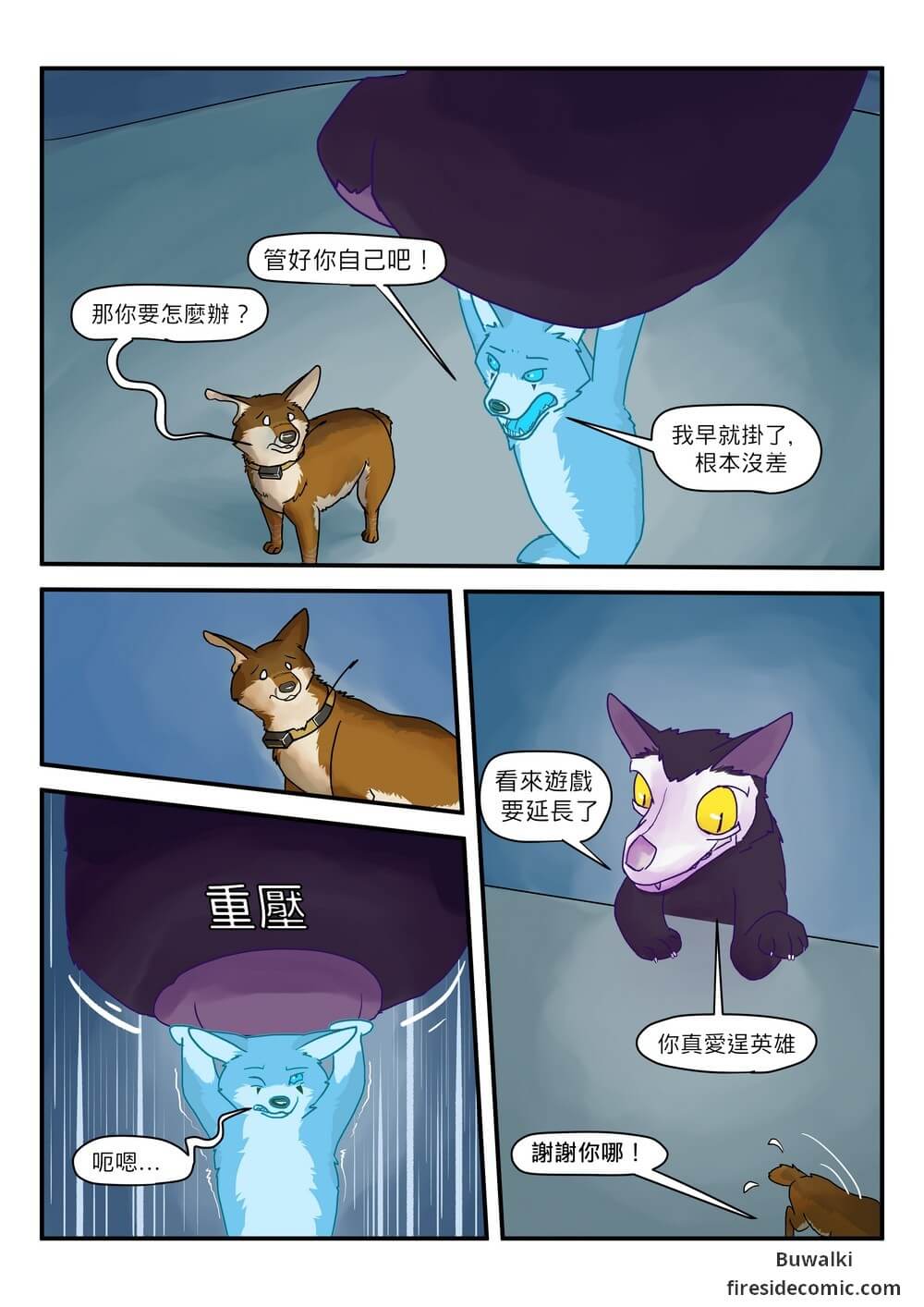 Fox Paradise29