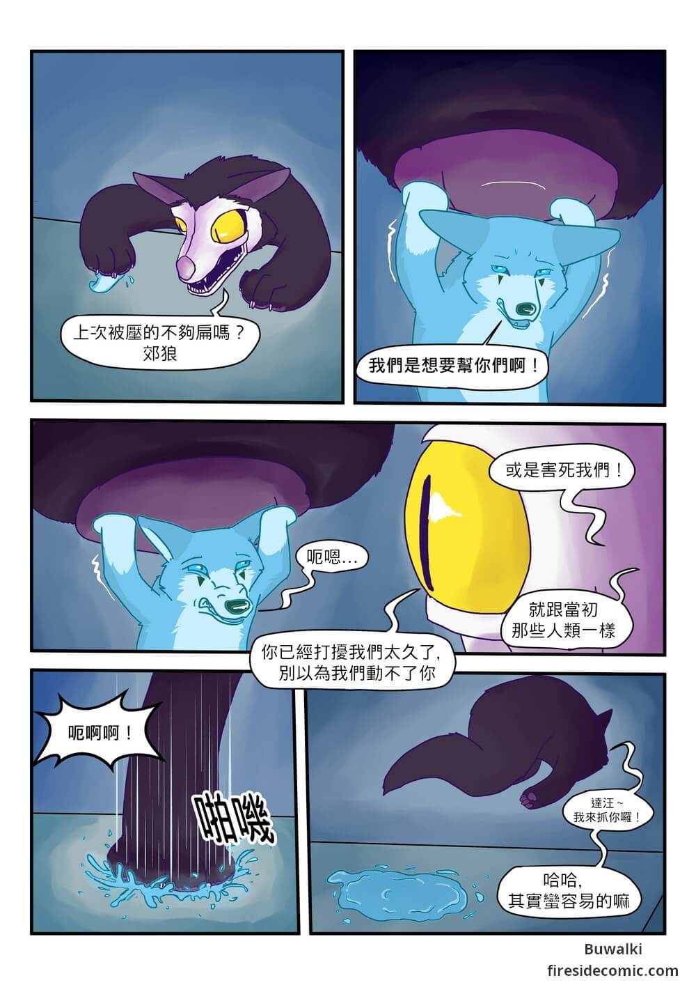 Fox Paradise30