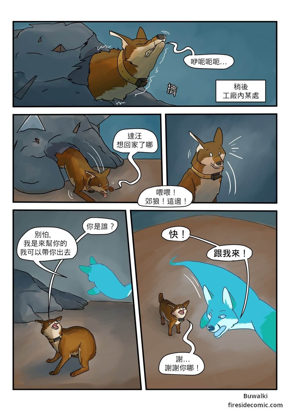 Fox Paradise32