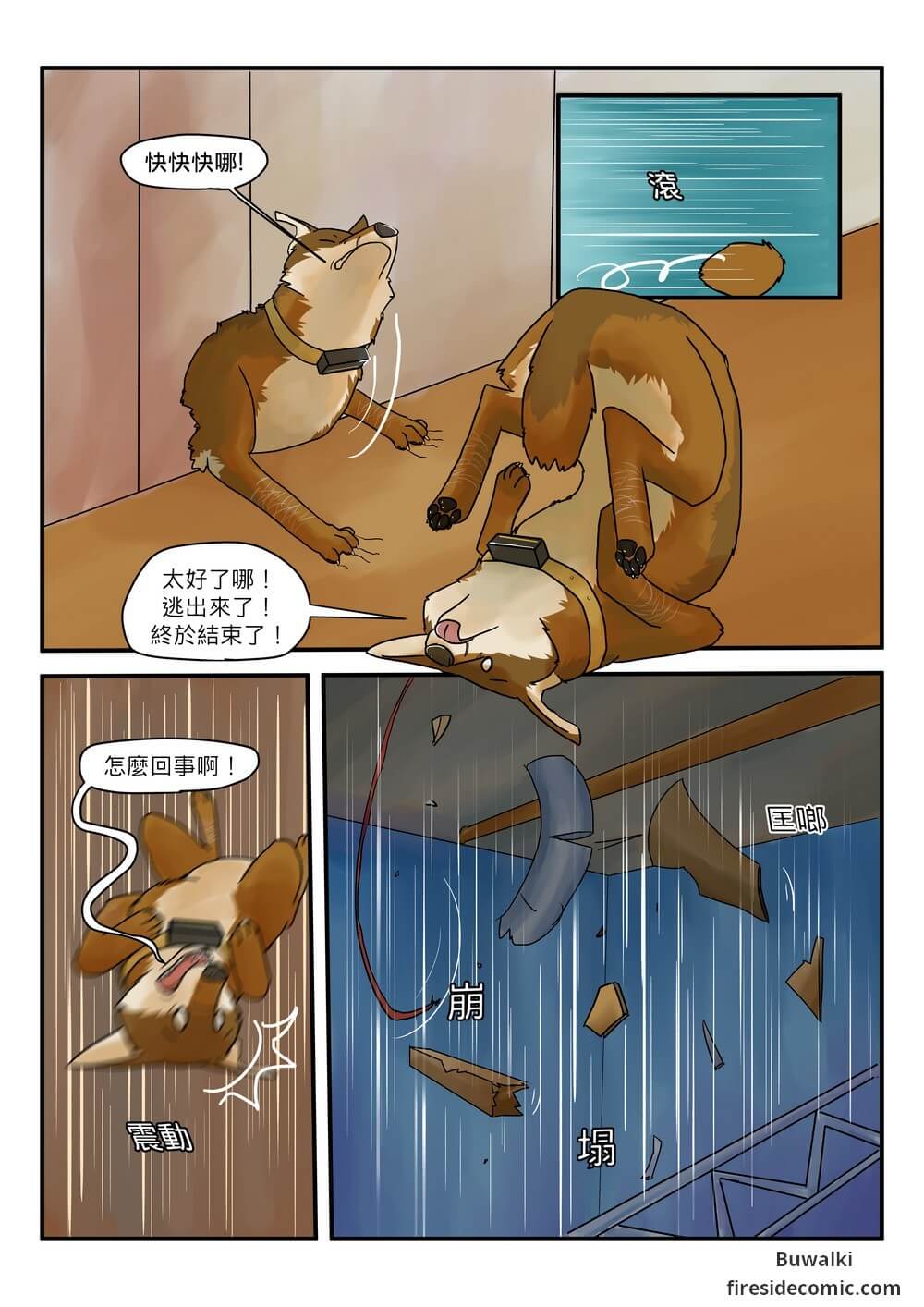 Fox Paradise37