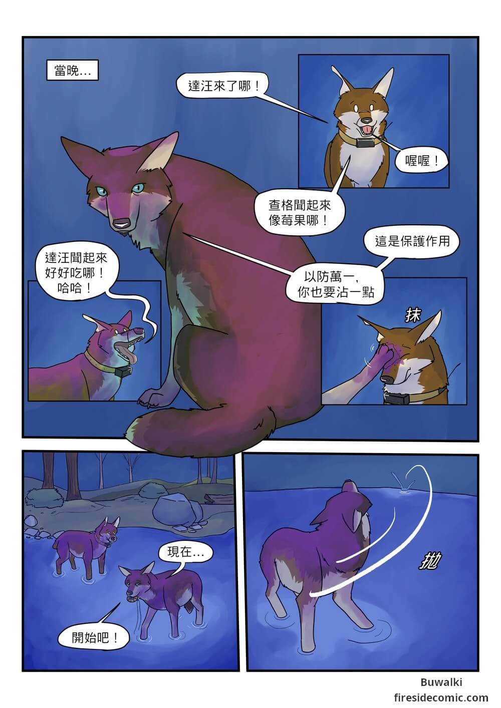 Fox Paradise42