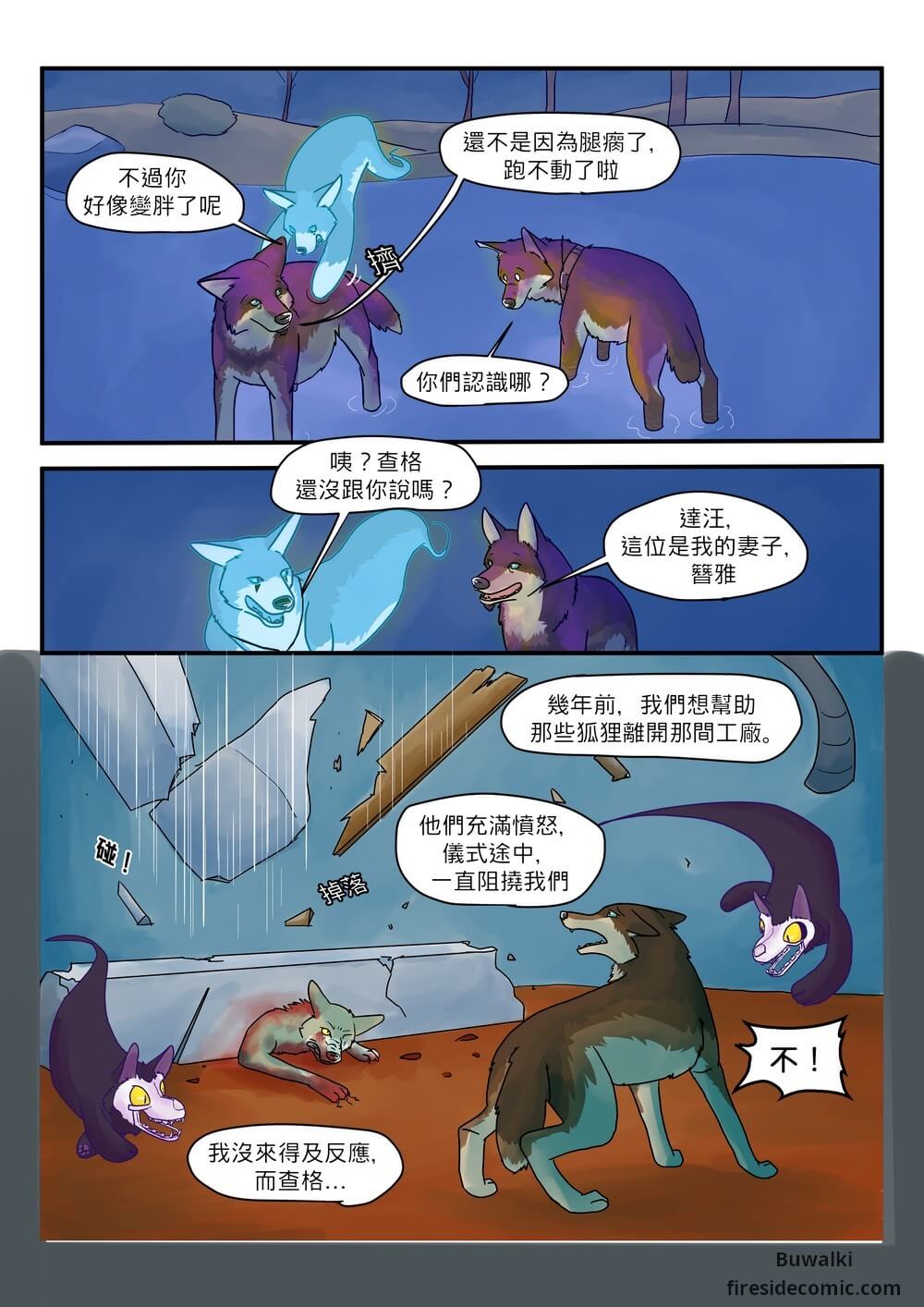 Fox Paradise45