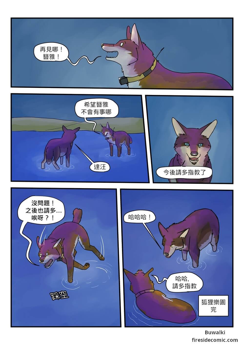 Fox Paradise18